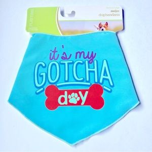 3/$15 NEW IT'S MY GOTCHA DAY Pet Bandana Apparel Blue Medium Large 15"-18" Neck